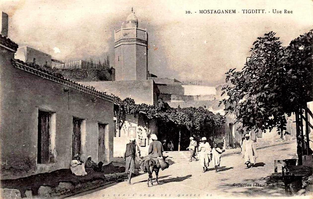 Tidjit 004.jpg